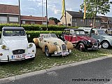 Zandlemig Vlaanderen